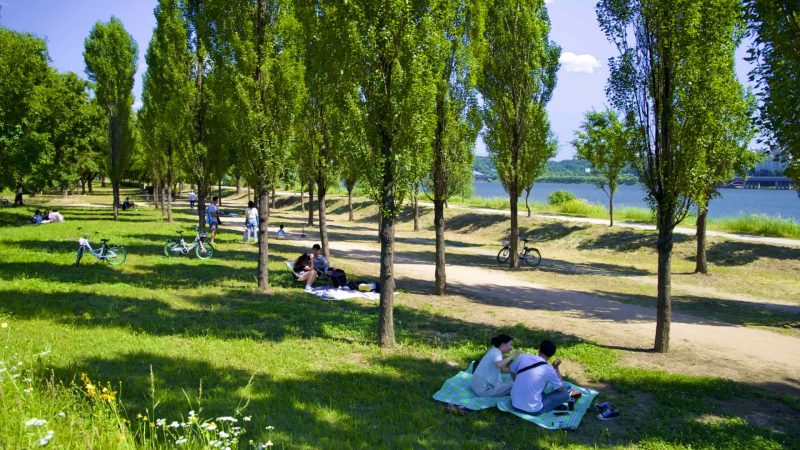 A picture of Ichon Hangang Park (이촌한강공원) in Seoul, South Korea.