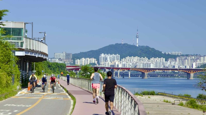 A picture of the bike path in Jamwon Hangang Park (잠원한강공원) in Seoul, South Korea.