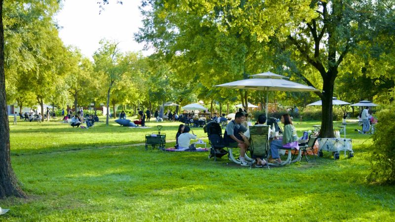 A picture of fields and picnickers in Jamwon Hangang Park (잠원한강공원) in Seoul, South Korea.