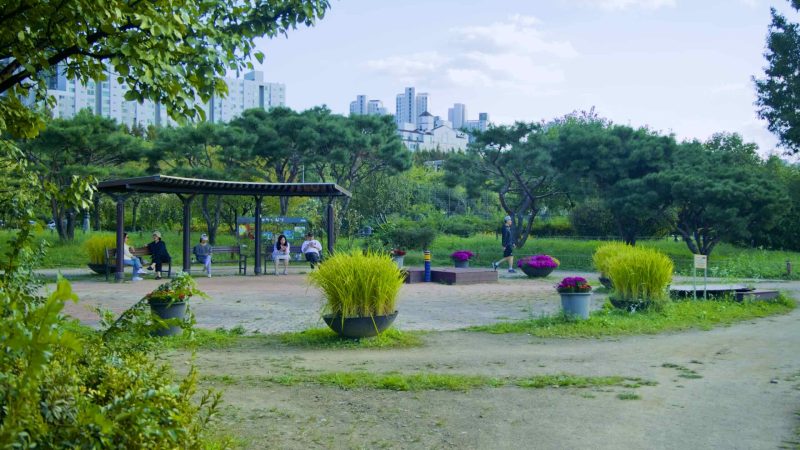 A picture of Jamwon Nature Learning Center (자연학습장) in Jamwon Hangang Park (잠원한강공원) in Seoul, South Korea.