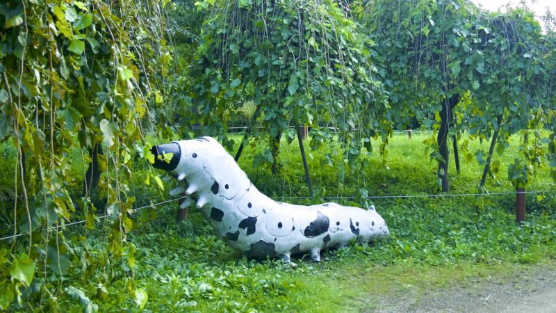 A picture of Jamwon Nature Learning Center (자연학습장) in Jamwon Hangang Park (잠원한강공원) in Seoul, South Korea.