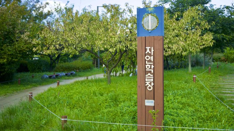 A picture of Jamwon Nature Learning Center (자연학습장) in Jamwon Hangang Park (잠원한강공원) in Seoul, South Korea.