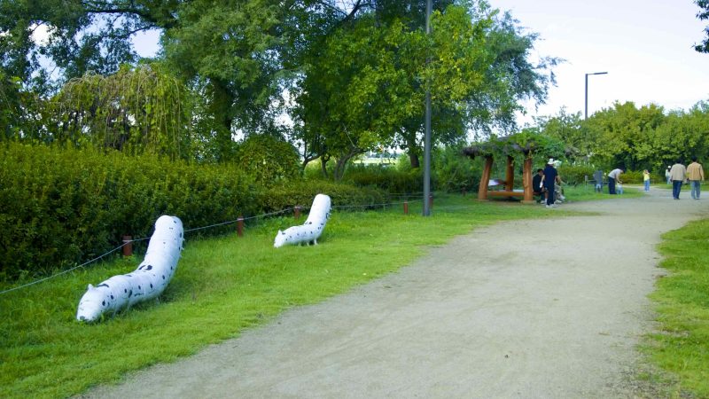 A picture of Jamwon Nature Learning Center (자연학습장) in Jamwon Hangang Park (잠원한강공원) in Seoul, South Korea.