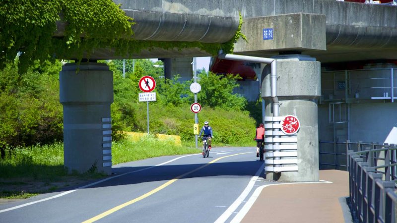 A picture of the bike path under Seongsu Bridge (성수대교) in Jamwon Hangang Park (잠원한강공원) in Seoul, South Korea.
