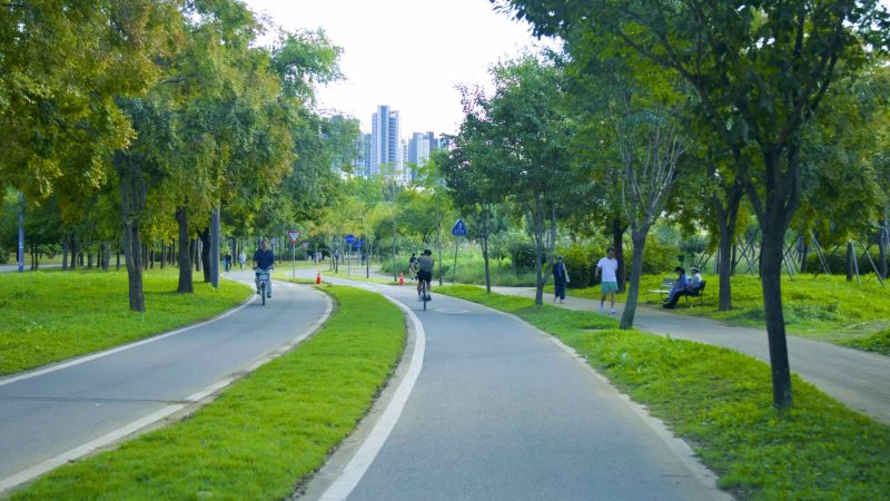 A picture of the bike paths in Jamwon Hangang Park (잠원한강공원) in Seoul, South Korea.