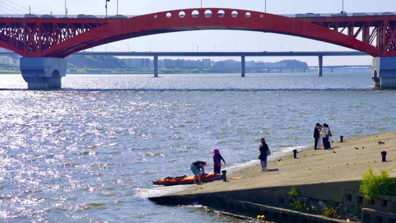 A picture of Seongsan Bridge (성산대교) in Mangwon Hangang Park (망원한강공원) in Seoul, South Korea.