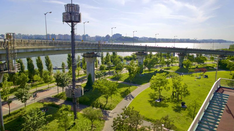 Hangang Bike Path - Seoul - Nanji Hangang Park - World Cup Bridge Offramp Lawn