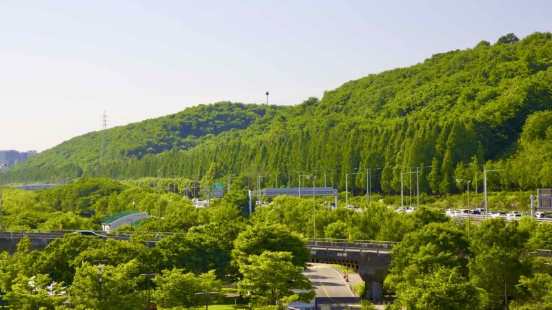 A picture of Haneul Park and Noeul Park in World Cup Park (월드컵공원) in Seoul, South Korea.