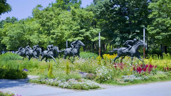 A picture of Seoul Forest (서울숲) near Ttukseom Hangang Park (뚝섬한강공원) in the Seongsu Neighborhood (성수동) in Seoul, South Korea.