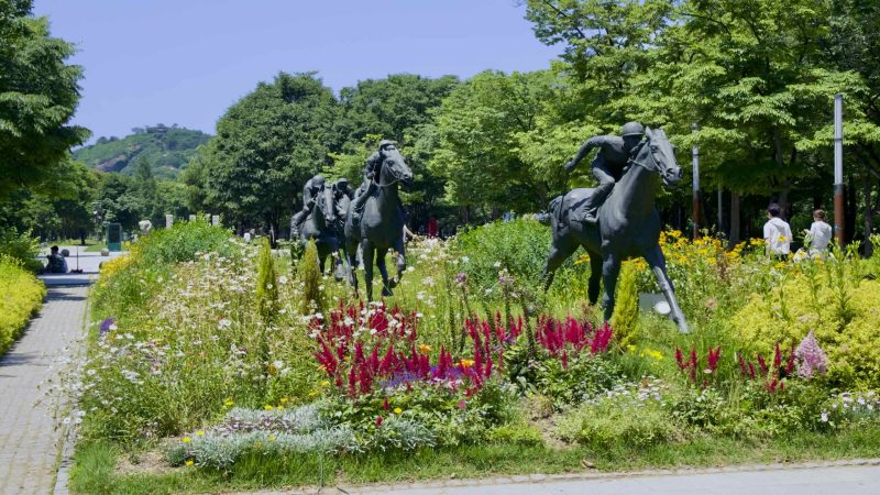 A picture of Seoul Forest (서울숲) near Ttukseom Hangang Park (뚝섬한강공원) in the Seongsu Neighborhood (성수동) in Seoul, South Korea.