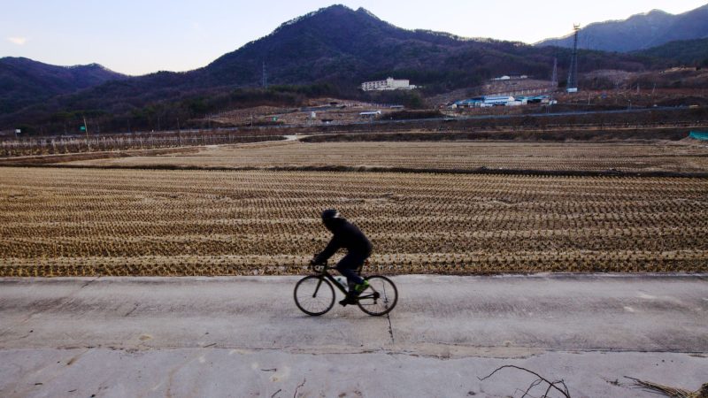 A picture of the Hangang Bike Path (한강자전거길) near South Han River Bridge near Neungam Village Island (능암리섬) in Chungju City, South Korea.