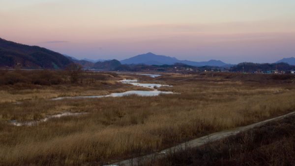 A picture of Neungam Village Island (능암리섬) on the South Han River (남한강) along the Hangang Bike Path (한강자전거길) in Chungju City, South Korea.