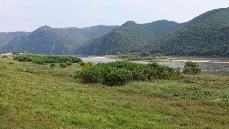A picture of the Nakdonggang Bike Path (낙동강자전거길) along the Nakdong River in South Korea.