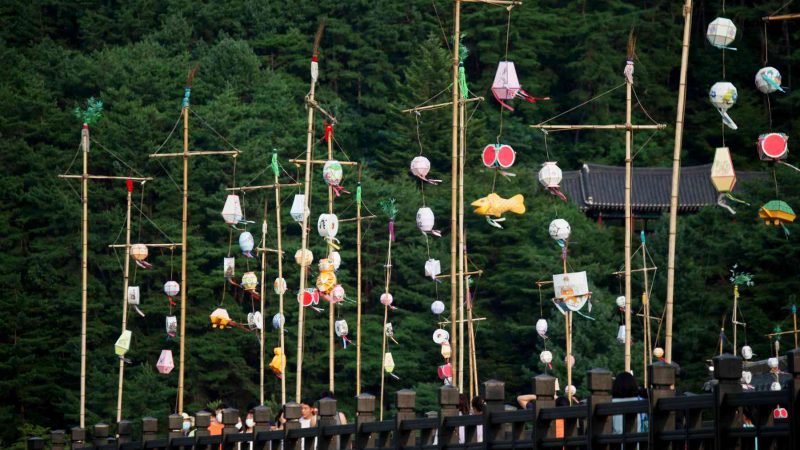 A picture of Woryeong Bridge (월영교) on the Nakdong River in Andong City, South Korea.