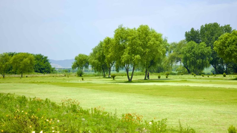 A picture of Nakdonggang Bicycle Path (낙동강자전거길) along Nakdong River in Dalseong County, South Korea.