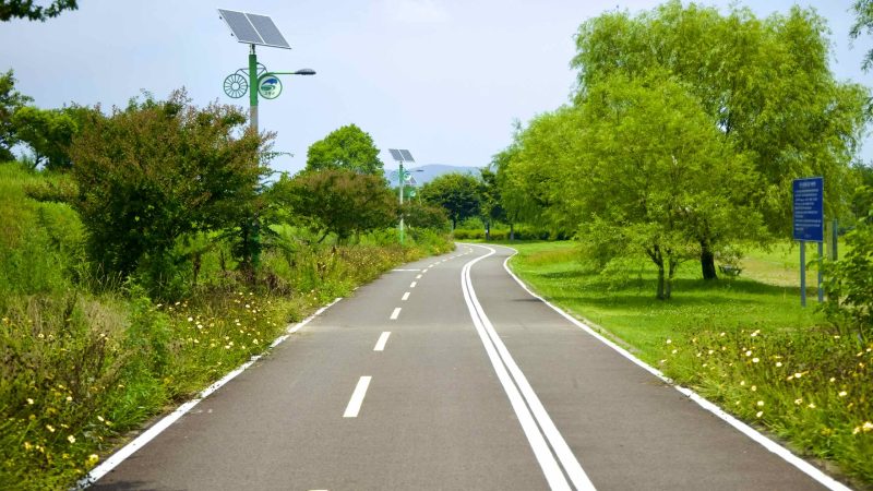 A picture of Nakdonggang Bicycle Path (낙동강자전거길) along Nakdong River in Dalseong County, South Korea.