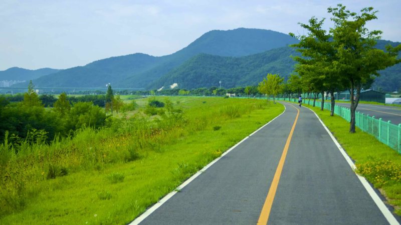 A picture of the bike path in Gumi City along the Nakdonggang Bike Path.