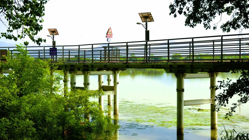 A picture of a raised cycling path that leads to Gangjeong Goryeong Weir (강정고령보) along the Nakdong River in Daegu, South Korea.
