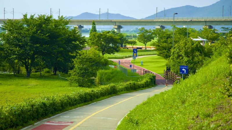 A picture of Chilgok Eco Park (칠곡보생태공원) in Waegwan Town (왜관읍) along the Nakdonggang Bike Path.