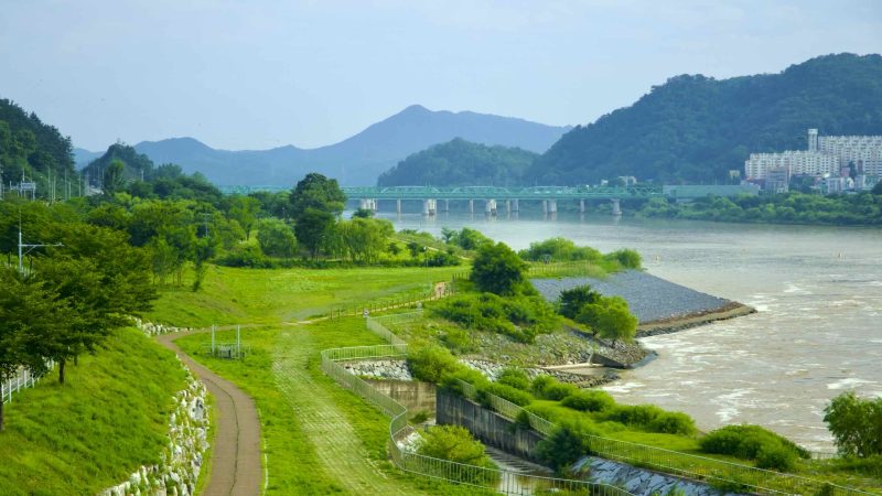 The downstream view of Chilgok Eco Park from Chilgok Weir offers a great view of the Bridge of Patriotism.