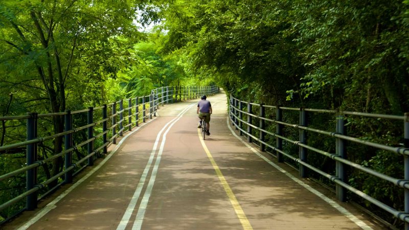 A picture of Nakdonggang Bicycle Path (낙동강자전거길) along Nakdong River in Daegu, South Korea.