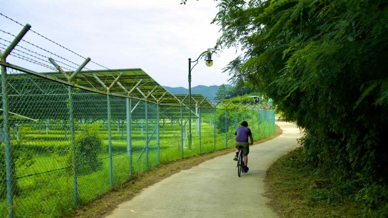 A picture of Nakdonggang Bicycle Path (낙동강자전거길) along Nakdong River in Daegu, South Korea.