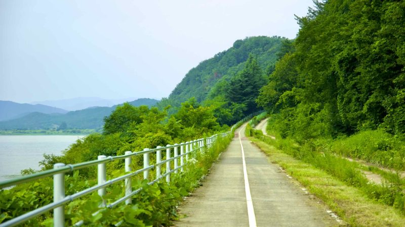 A picture of Nakdonggang Bicycle Path (낙동강자전거길) along Nakdong River in Daegu, South Korea.