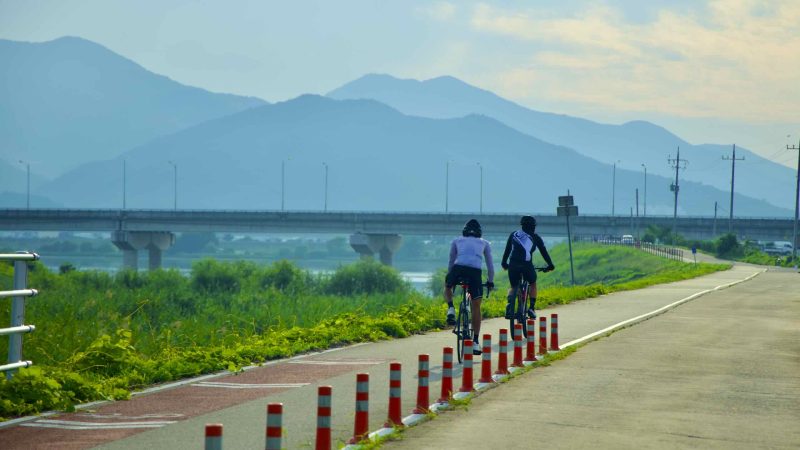 A picture the bike path in Waegwan Town (왜관읍) along the Nakdonggang Bike Path.