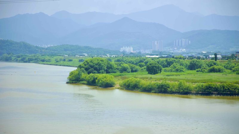 A picture of Nakdonggang Bicycle Path (낙동강자전거길) along Nakdong River in Dalseong County, South Korea.