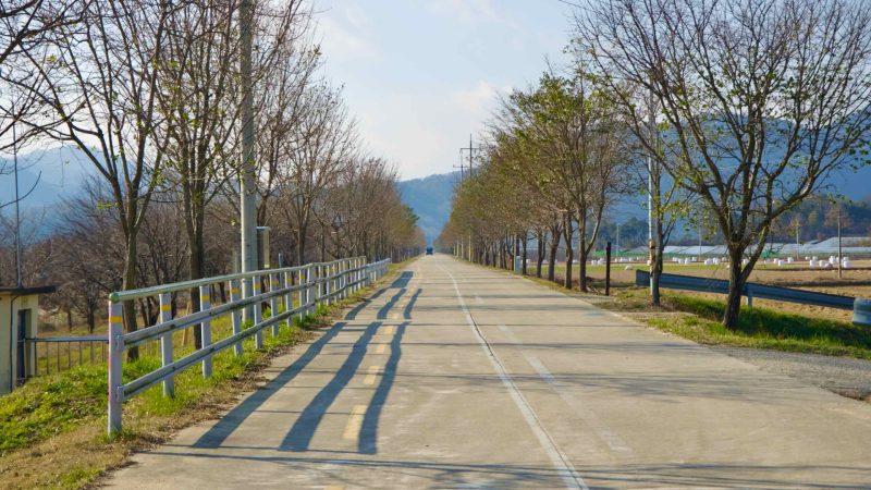 A picture of the Nakdonggang Bike Path (낙동강자전거길) in South Korea.