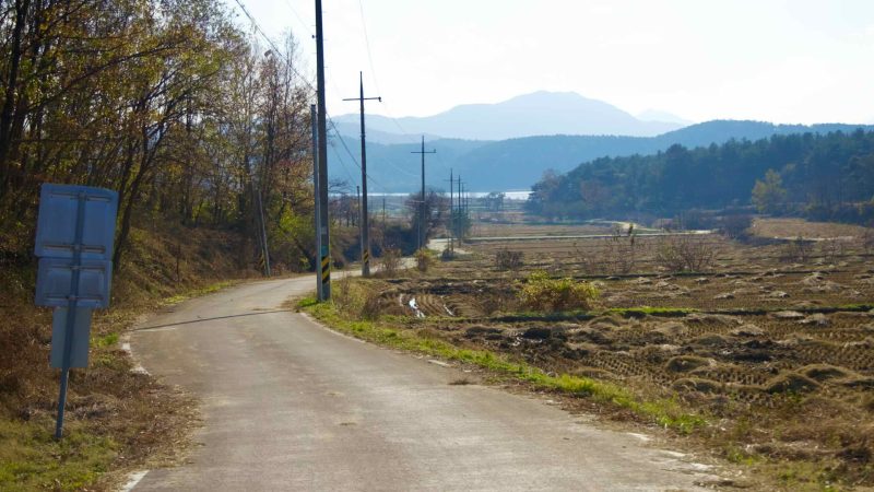 A picture of the Nakdonggang Bike Path (낙동강자전거길) in South Korea.