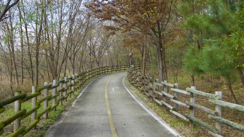 A picture of the Nakdonggang Bike Path (낙동강자전거길) in South Korea.