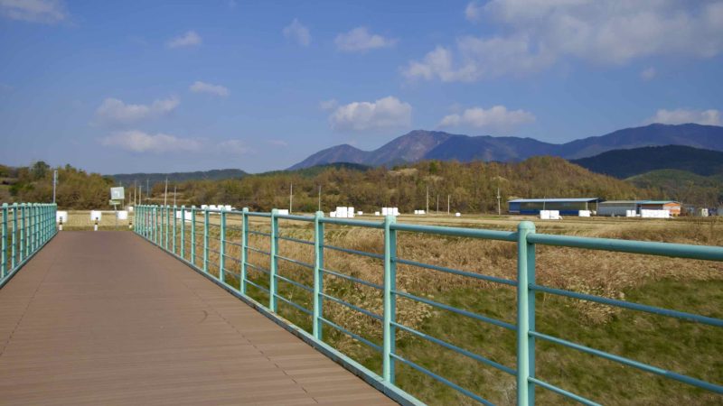 A picture of the Nakdonggang Bike Path (낙동강자전거길) in South Korea.