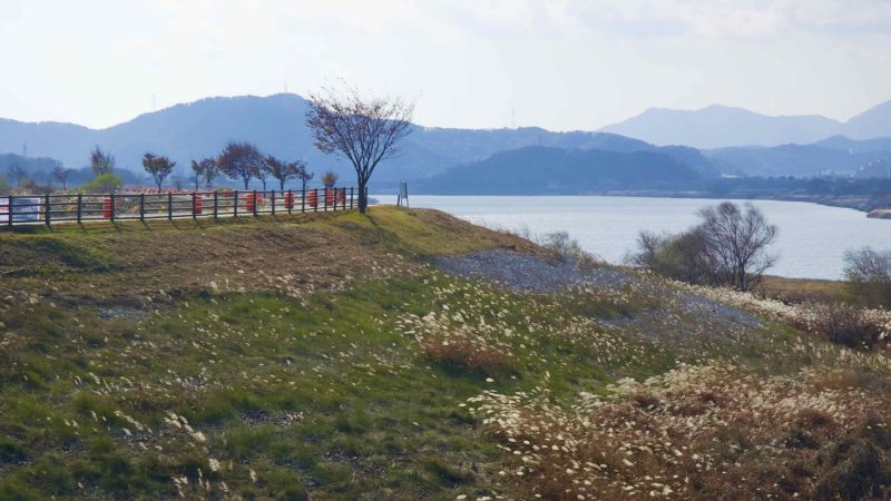A picture of the Nakdonggang Bike Path (낙동강자전거길) in South Korea.
