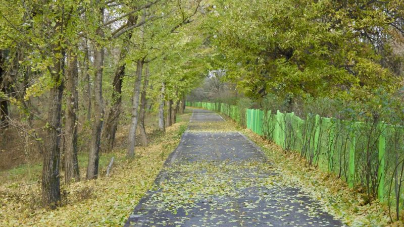 A picture of the Nakdonggang Bike Path (낙동강자전거길) in South Korea.