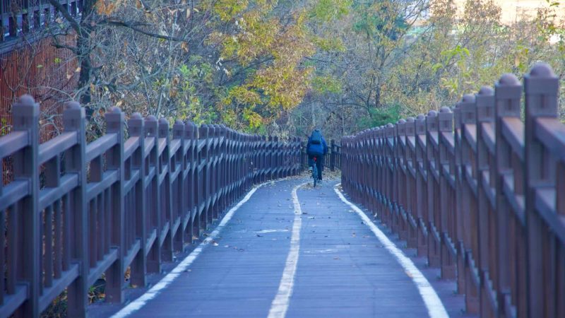 A picture of the Nakdonggang Bike Path in Sangju City, South Korea.