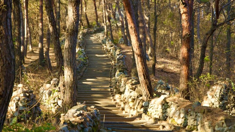 A picture of Gyeongcheondae Terrace (경천대) along the Nakdong River in Sangju City, South Korea.