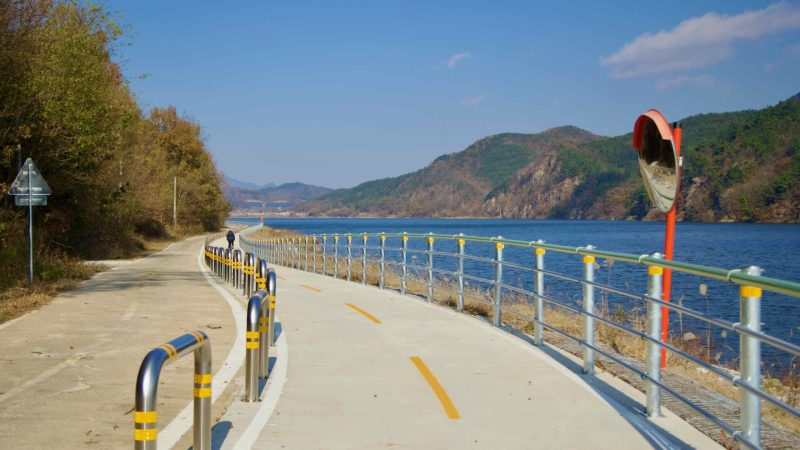 A picture of the Nakdonggang Bike Path (낙동강자전거길) in South Korea.