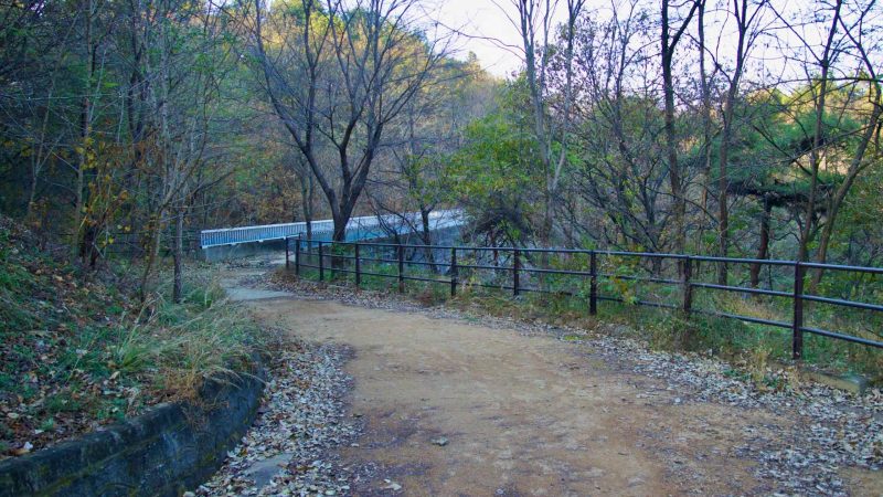 A picture of the Nakdonggang Bike Path in Sangju City, South Korea.