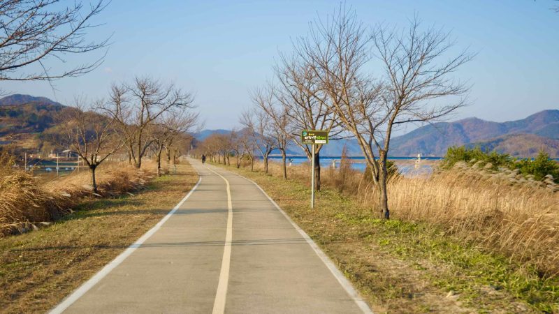 A picture of the Nakdonggang Bike Path in Sangju City, South Korea.
