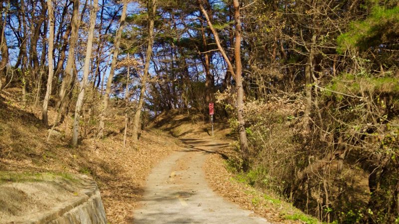 A picture of the Nakdonggang Bike Path (낙동강자전거길) in South Korea.