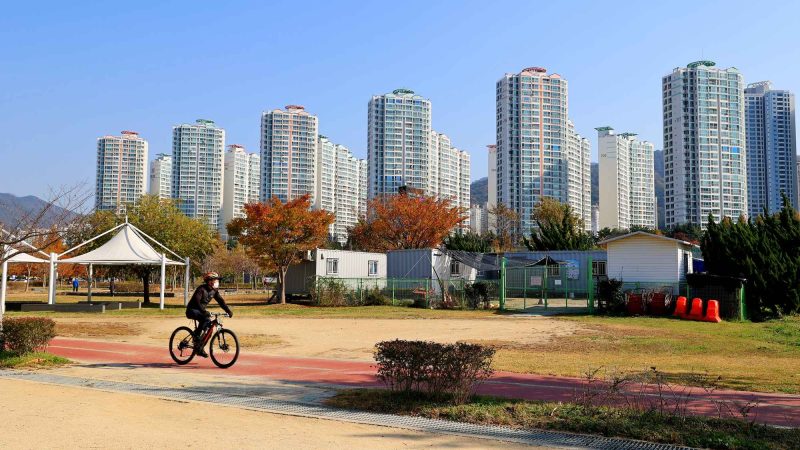 A picture of the Nakdonggang Bike Path (낙동강자전거길) along the Nakdong River in South Korea.