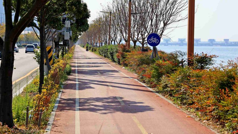 A picture of the Nakdonggang Bike Path (낙동강자전거길) in Busan City along the Nakdong River in South Korea.
