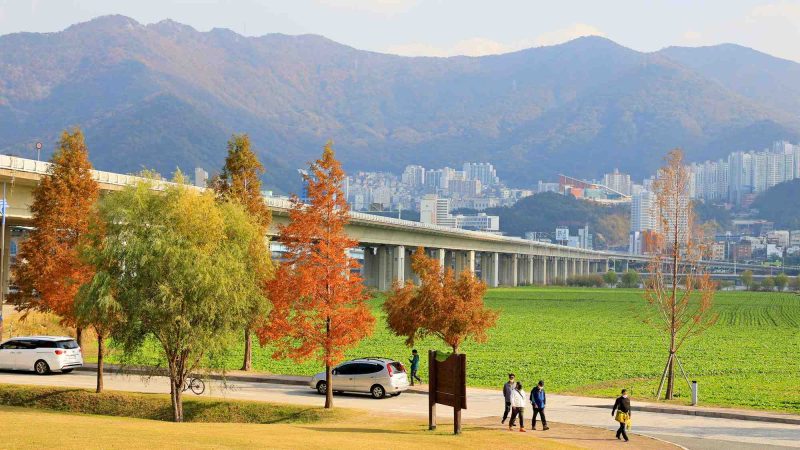 Nakdonggang Bike Path - Changnyeong Busan - Busan Bridge Bikers and Daejeo Ecological Park (West Side)