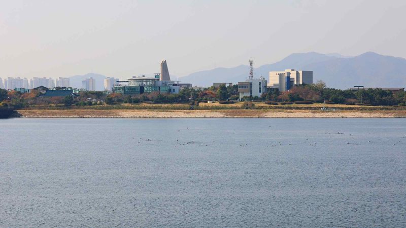 A view of Eulsukdo Island (을숙도) over the Nakdong River in Busan City, South Korea.