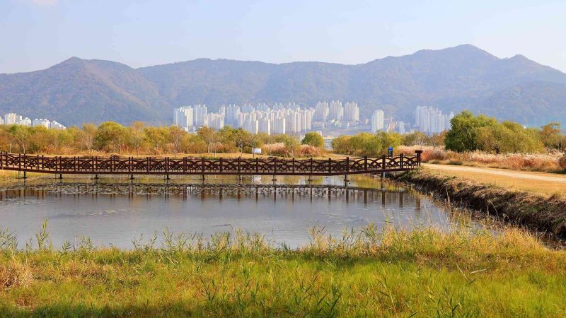 A picture of the Nakdonggang Bike Path (낙동강자전거길) in Busan City along the west side of the Nakdong River in South Korea.
