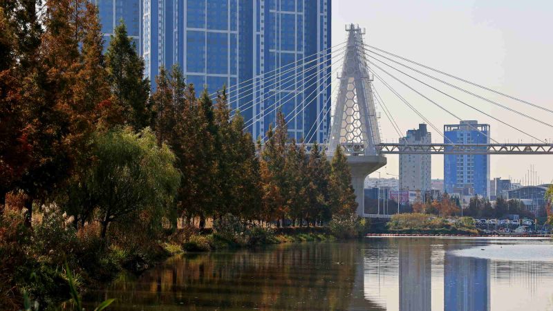 A picture of a walking bridge leading to Hwamyeong Ecological Park on the Nakdonggang Bike Path (낙동강자전거길) in Busan City, South Korea.