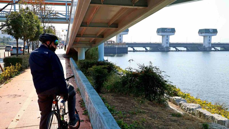 A picture of the Nakdonggang Bike Path (낙동강자전거길) in Busan City along the Nakdong River in South Korea.