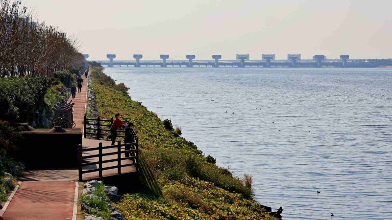 A picture of the Nakdonggang Estuary Bank (낙동강하구둑) on the Nakdong River leading to Eulsukdo Island in Busan.