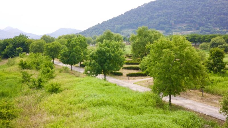 A picture of the Hakpo Eco Park (학포수변생태공원) from Bonpo Bridge (본포교) next to the Nakdong River (낙동강) along the Nakdonggang Bike Path (낙동강자전거길).